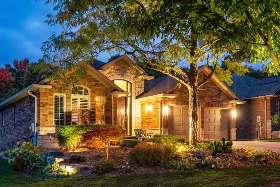 Tree Uplighting in Flower Mound